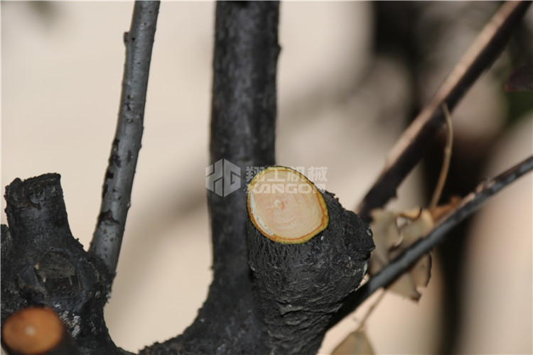 果树修枝剪 (9).jpg 果树修枝剪 (9).jpg